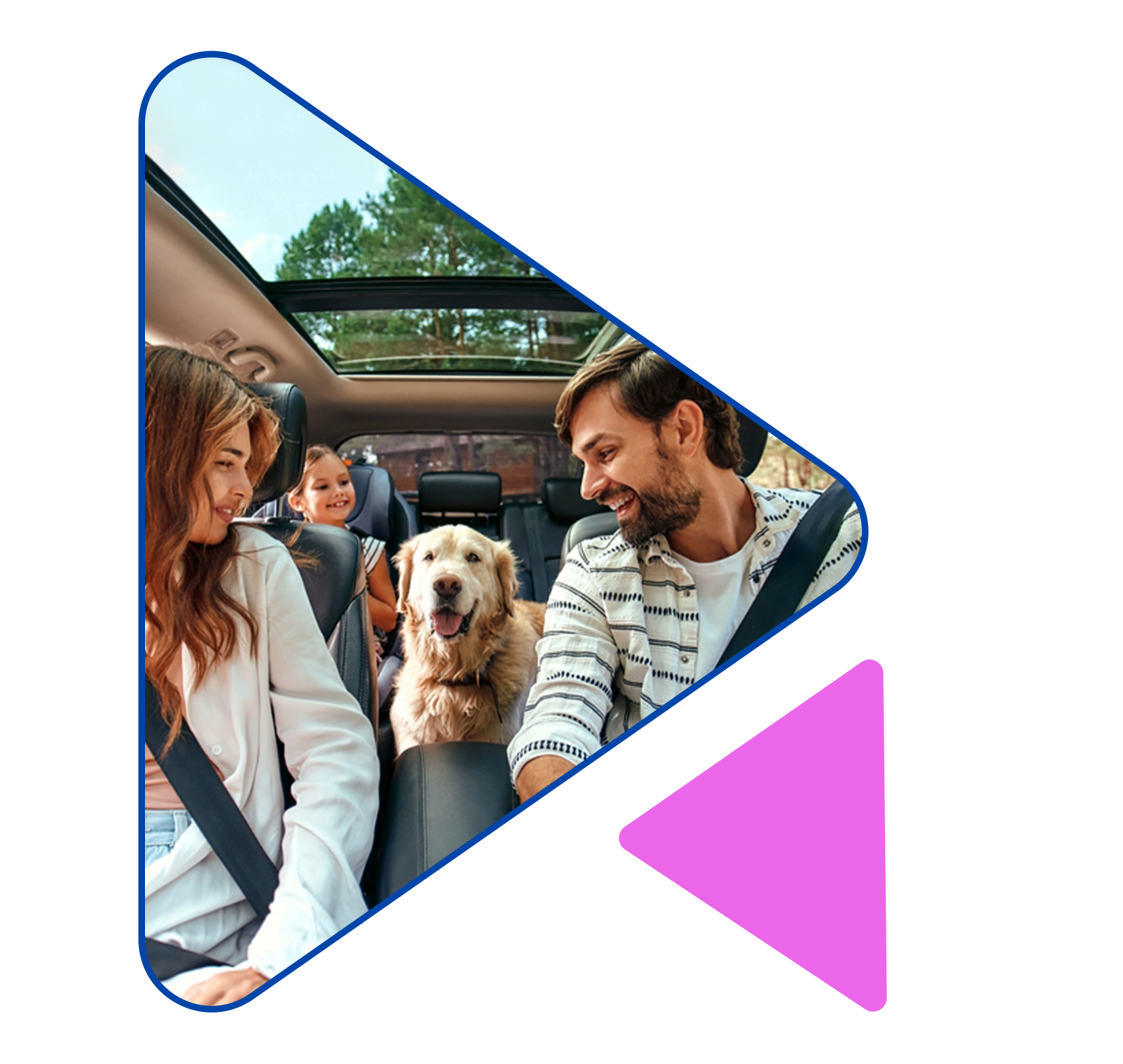 Experts at Knights Lowe